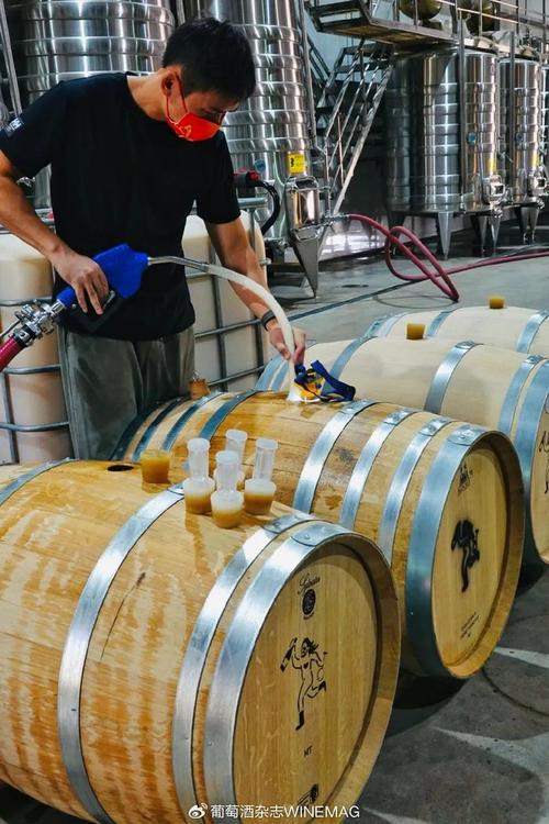 中國葡萄酒新勢(shì)力 釀松弛的酒，做最“野”的標(biāo)